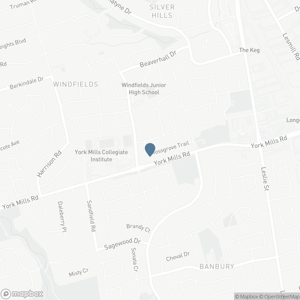 20 MOSSGROVE TRAIL, Toronto, Ontario M2L 2W3